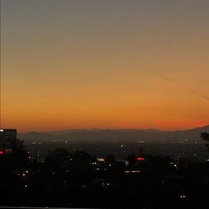 Meet your Posher, Luis